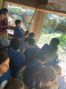 WhatsApp Image 2024-08-12 at 1.13.07 PM (2)