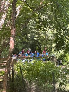 WhatsApp Image 2024-08-12 at 1.13.07 PM (3)