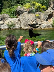 WhatsApp Image 2024-08-12 at 12.43.03 PM (1)