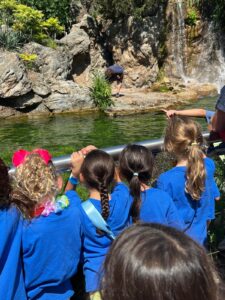 WhatsApp Image 2024-08-12 at 12.43.03 PM