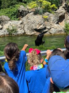 WhatsApp Image 2024-08-12 at 12.43.03 PM (5)