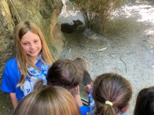 WhatsApp Image 2024-08-12 at 1.53.55 PM (2)