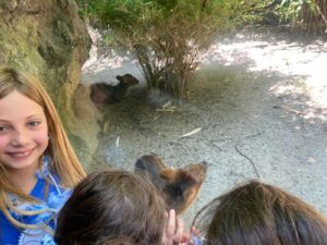 WhatsApp Image 2024-08-12 at 1.53.55 PM (3)