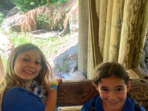 WhatsApp Image 2024-08-12 at 1.53.55 PM