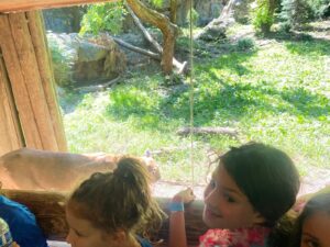 WhatsApp Image 2024-08-12 at 1.53.55 PM (5)