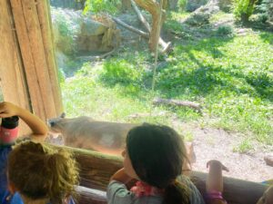 WhatsApp Image 2024-08-12 at 1.53.55 PM (7)