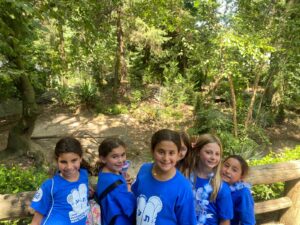 WhatsApp Image 2024-08-12 at 1.53.56 PM (1)