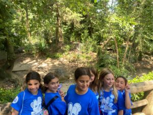 WhatsApp Image 2024-08-12 at 1.53.56 PM (2)