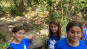 WhatsApp Image 2024-08-12 at 1.53.56 PM (3)